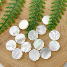 Wholesale Natural Round falt back Cut White Shells