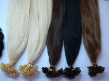 Top Quality Keratin Hair Extension (WHH-KUl--008)