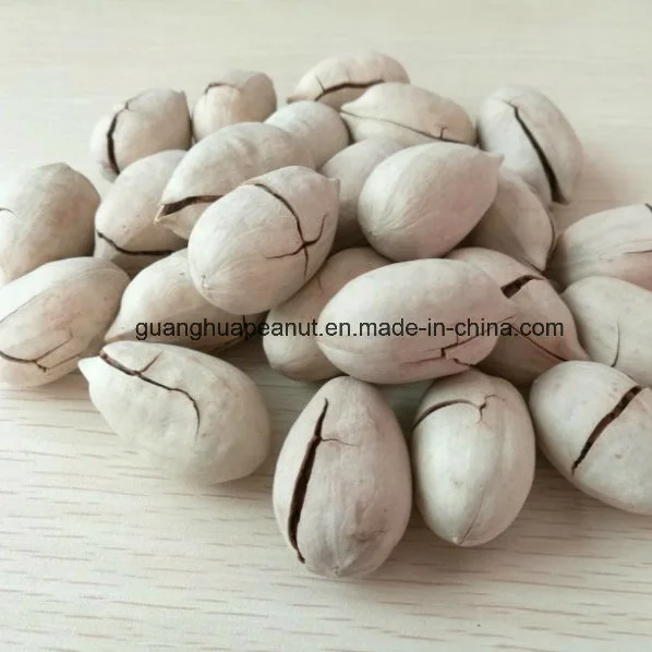 Manufacture New Crop Pecan Nuts