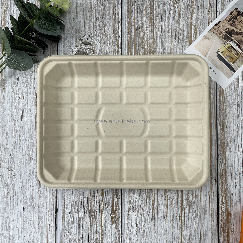 Disposable Sustainable food tray