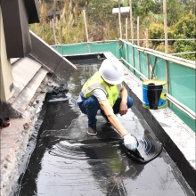 Elastomeric Roof Coating: Polyurethane Waterproof Solution