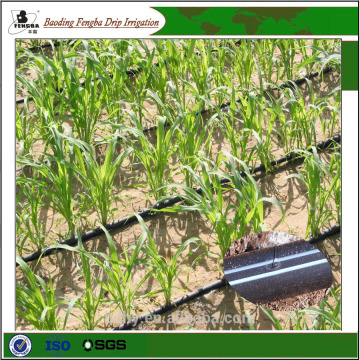 Fengba Modern Farmland Drip Irrigation System