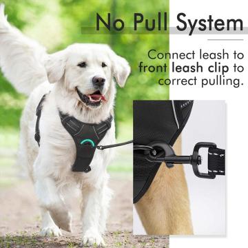 Hounds Design Freedom Geen Pull Dog Harness Custom