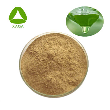 Aloe Vera Leaf Extract Powder 10:1 Anti-Inflammatory