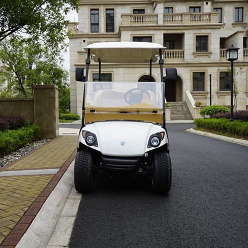 2021 Carro de golf eléctrico de 2 asientos de diseño moderno