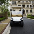 2021 2 Seats Electric Golf Cart Modern Design