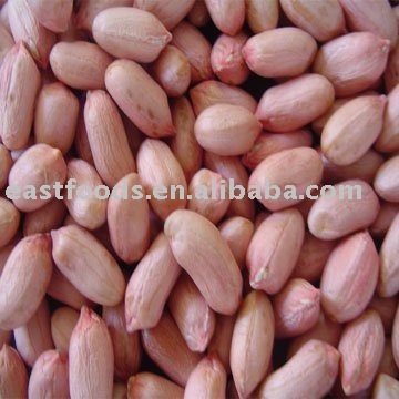 45/55 Peanut kernels(long type)