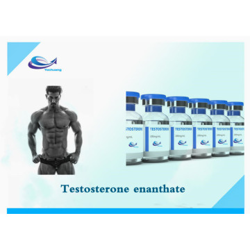 Alimentation en vrac Stock Testostérone ENANTHATE CAS 315-37-7