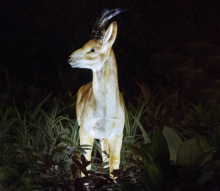 Simulated Luminous Male Antelope A Lights