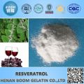 Pure Natural Resveratrol Powder 20%~99%