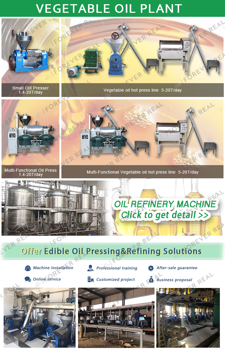 RF128-S 7-9T/Day Latest function combined peanut coconut palm oil press with control box