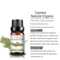 Hot Selling Product Factory Price Blue Cypress Essential Oil