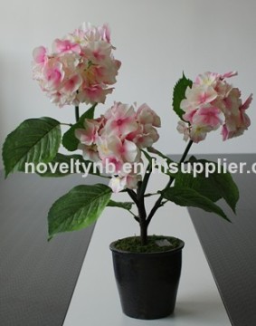 Beautiful Solar Hydrangea Light?