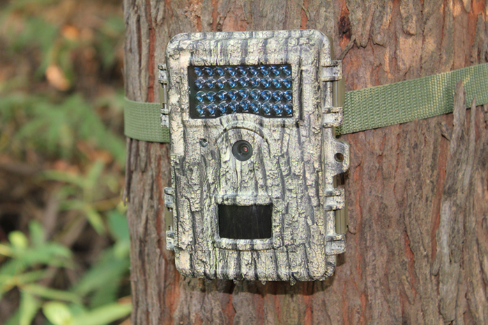 trail camera