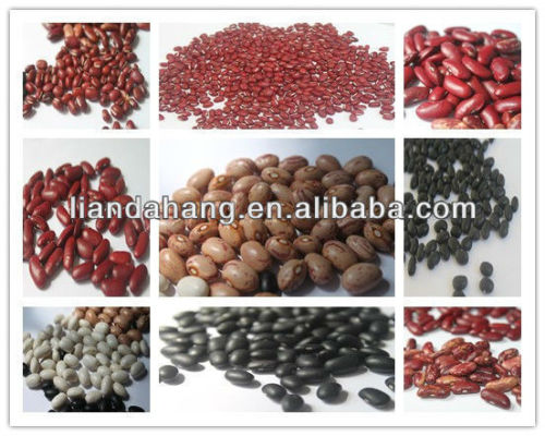 Light Red Kidney Beans