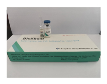 Rabies Vaccine Human Vero Cell