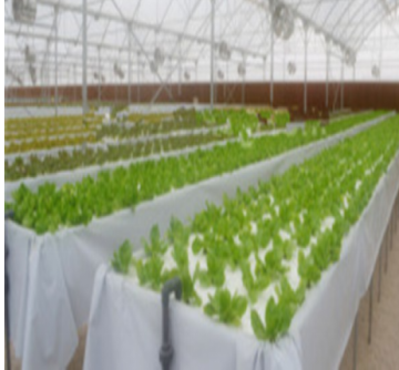 3 meters wide hydroponics greenhouse plastic covering