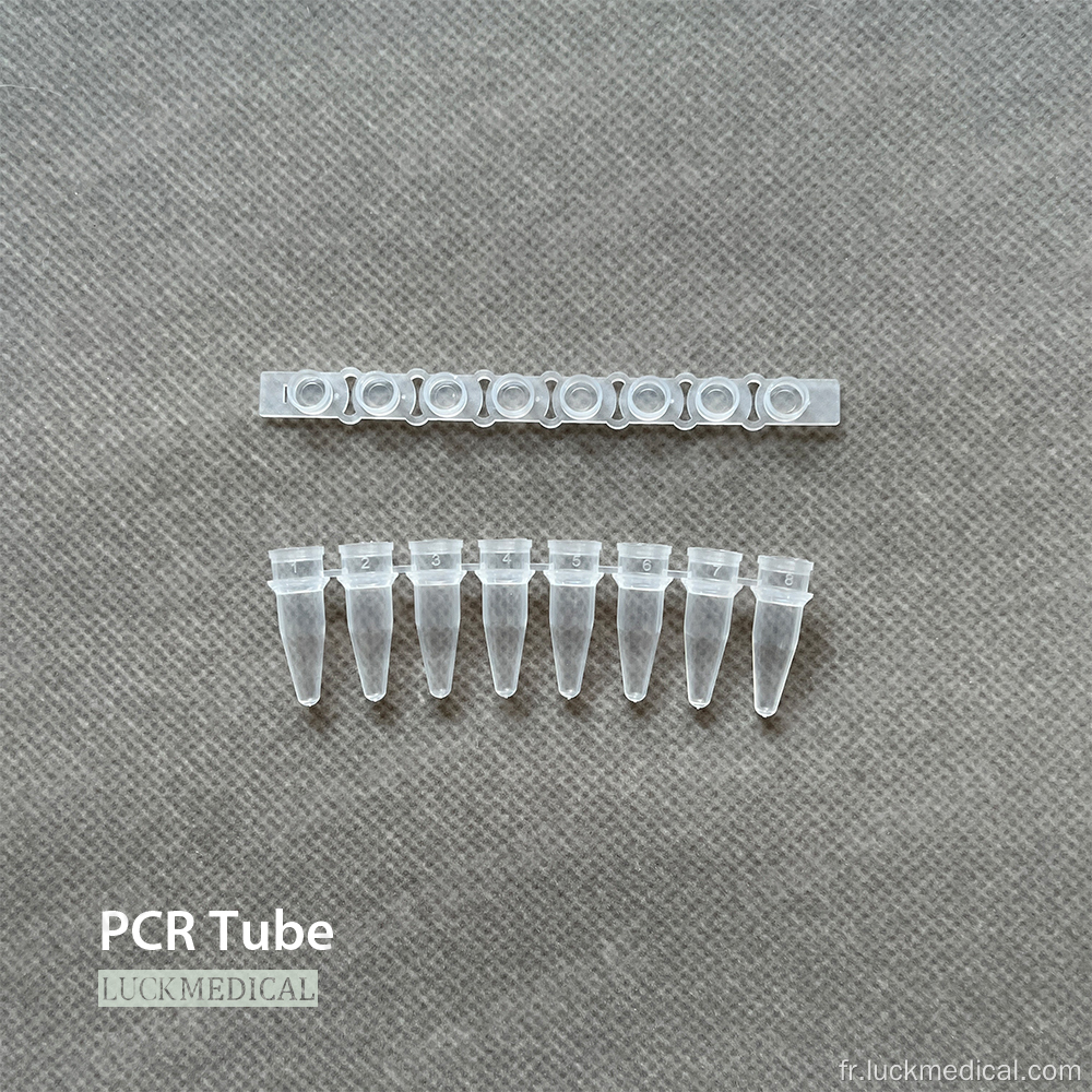 PCR 8 bandes de tube 0,2 ml