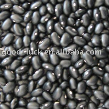 black kidney bean