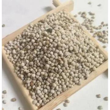 Perilla Seed In Chinese Medicine