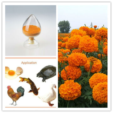 Natural Feed Additives Feed Grade Marigold Extract Lutein Powder