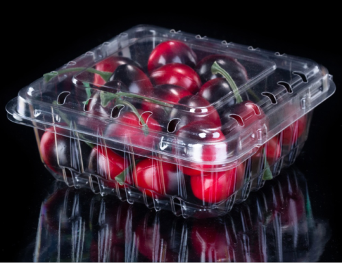 Factory Price Packaging Fruit Plastic Disposable Container