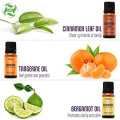 Therapeutisches Grade Essential Oil Geschenkset