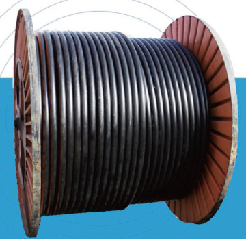 Steel Braided Composite Pipeline RTP