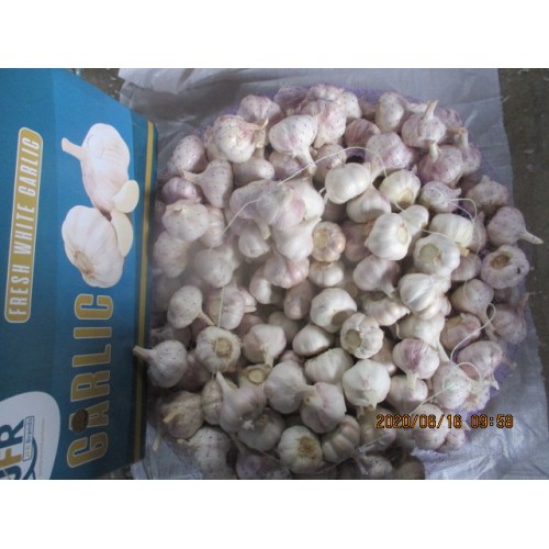 2020 Normal White Garlic High Quality