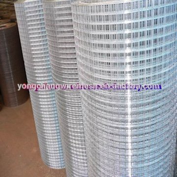 Welded Wire Mesh/Welded wire netting/electric galvanized mesh
