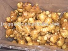 Chinese ginger
