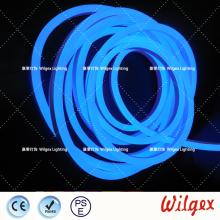 Blue neon LED flex light