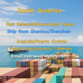 Shenzhen Shantou Xiamen Sea Freight To South America