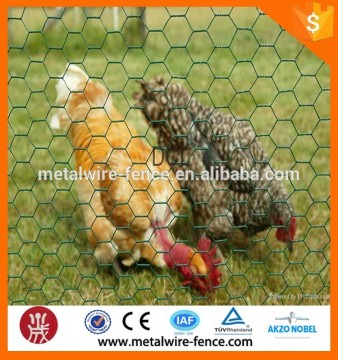 small mesh hexagonal chicken roll netting