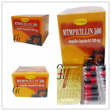 Ampicilina para infecção do trato urinário