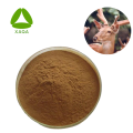 Deer Velvet Antller Extracto Péptidos de proteína Polvo 90%