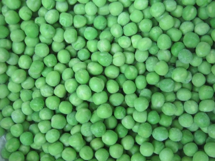 China New Crop IQF Frozen Green Pea