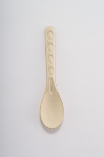 Compostable Sugarcane Spoon Disposable