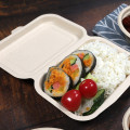 Nedbrytbar sockerrör bambu bagage nedbrytbart takeaway bento box matrestauranger engångsbehållare