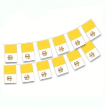 Factory Price Polyester Vatican Bunting Flags Custom Hanging Flags