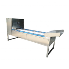 Cherry Pitting Machine: Plum Strawberry Haw Amla Cherry Core Removing Machine Manufacturer