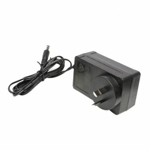 AU PLUP 24VOLT 1AMP 24W SAA POWER