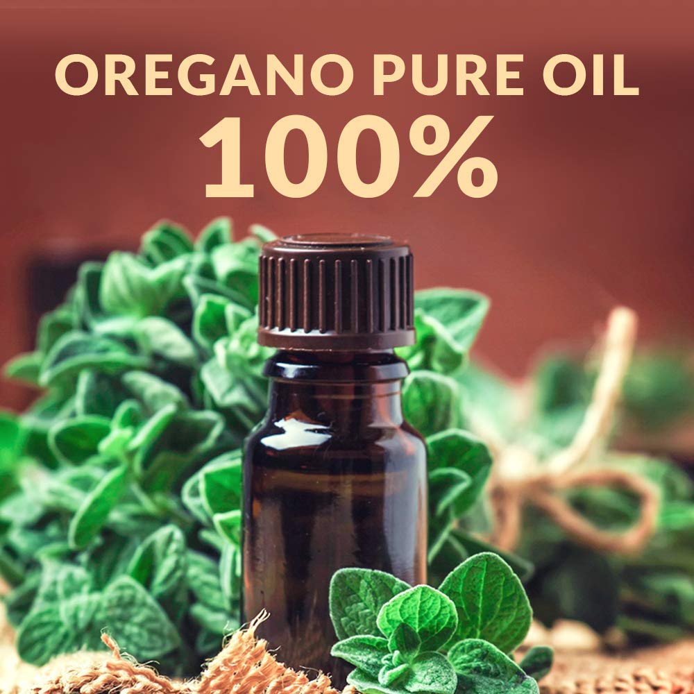 کارخانه فروش 100 ٪ عمده فروشی Oregano Oregegano خالص