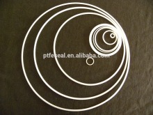 PTFE solid backup ring
