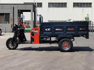 Upgrade Security Two-light Electric Tricycle