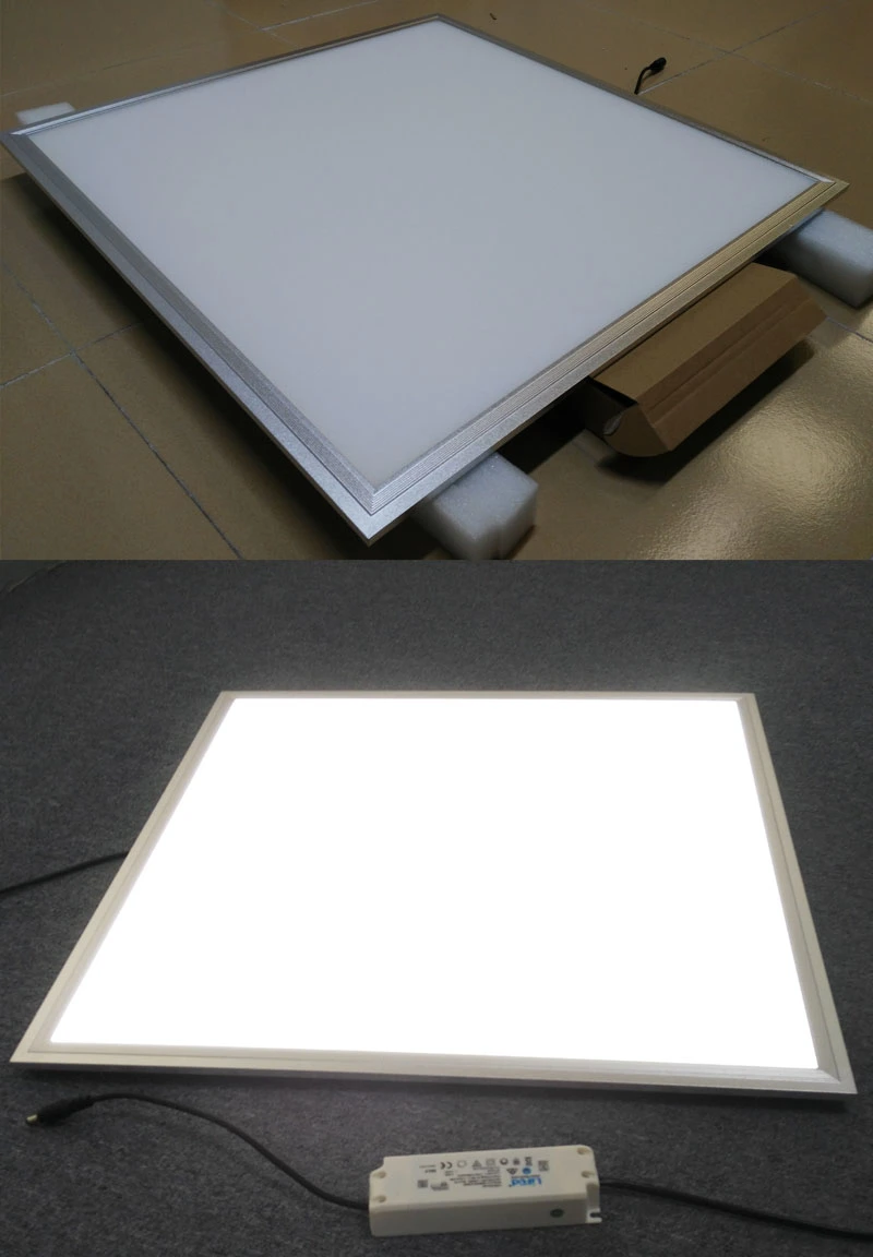 Dali Dimmable Control 600X600mm LED Panel Light 4000K Down Light LED Ceiling