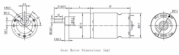 TT Motor of dc gear motor GM37-555