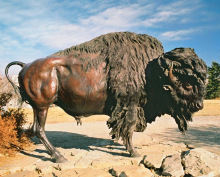 High quality bronze bison buffalo
