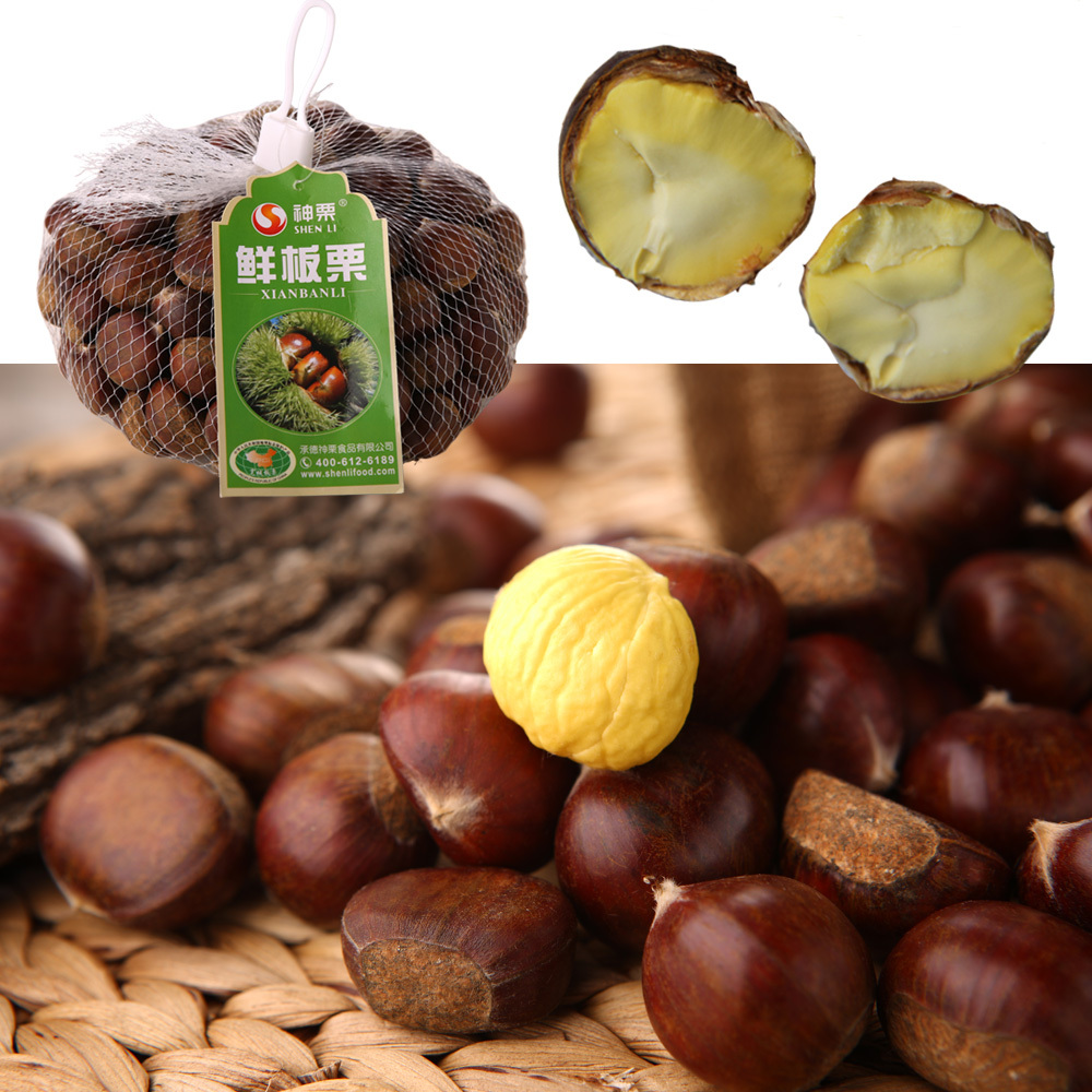 Chinese chestnuts for sale