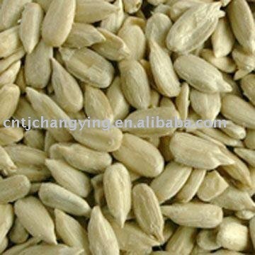 American sunflower seeds kernel